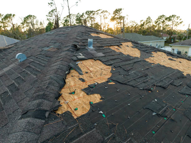 Best Roof Leak Repair  in Yoakum, TX