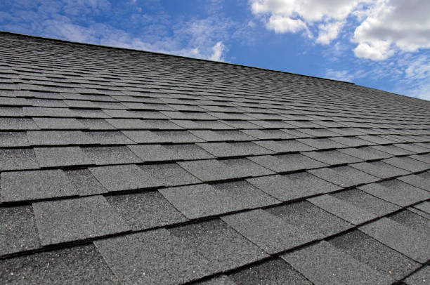 Best Skylight Installation and Repair  in Yoakum, TX